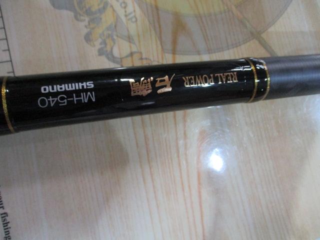 22リアルパワー石鯛 540