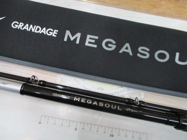 グランデージ メガソウル C73H+