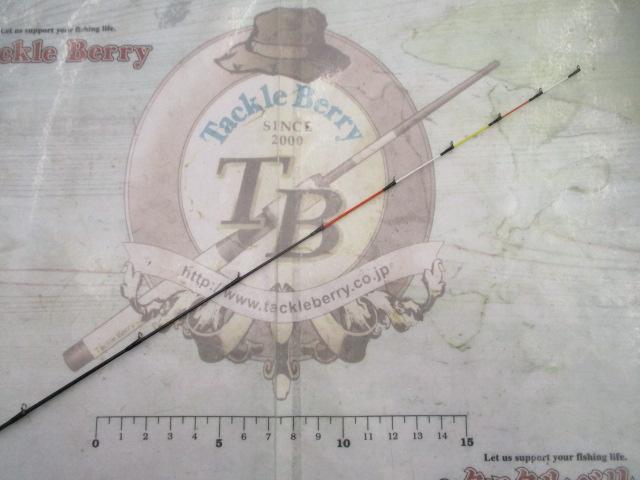 飛竜イカダ 150P・V