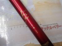 SICウィスカーTHEアユ硬調100パワータイプ