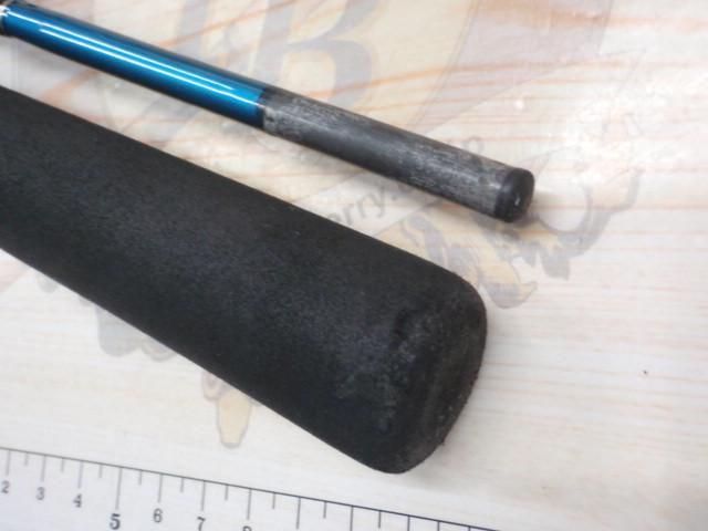 CBテンヤタチウオ210MH