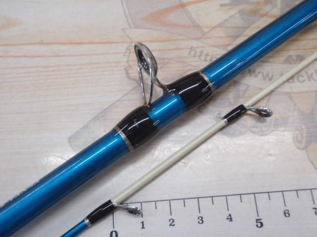 CBテンヤタチウオ210MH