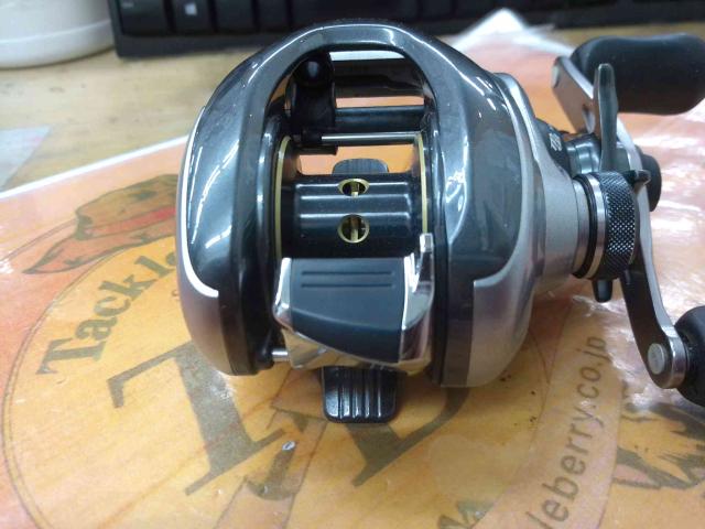 13メタニウム (RH)