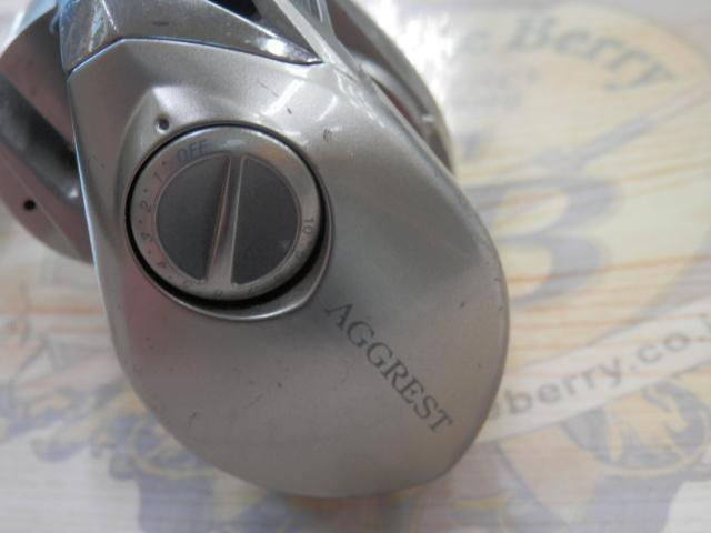 アグレスト 100SH