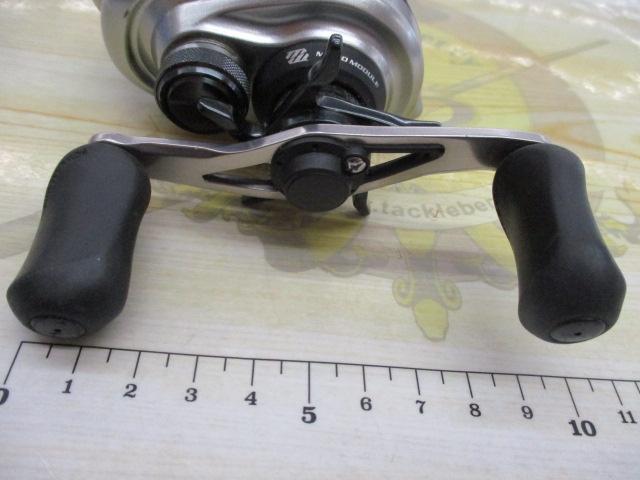 13メタニウム (RH)