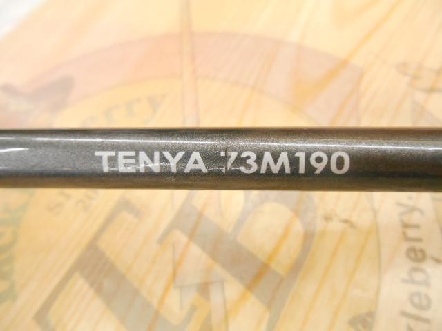 サーベルマスターSSテンヤ 73M190/R