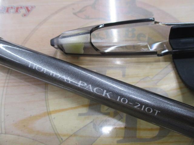 17ホリデーパック 10-210T