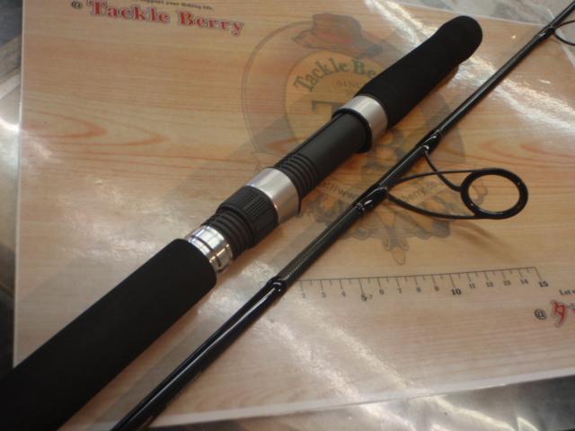 19ソルティーアドバンスジギング S60-3