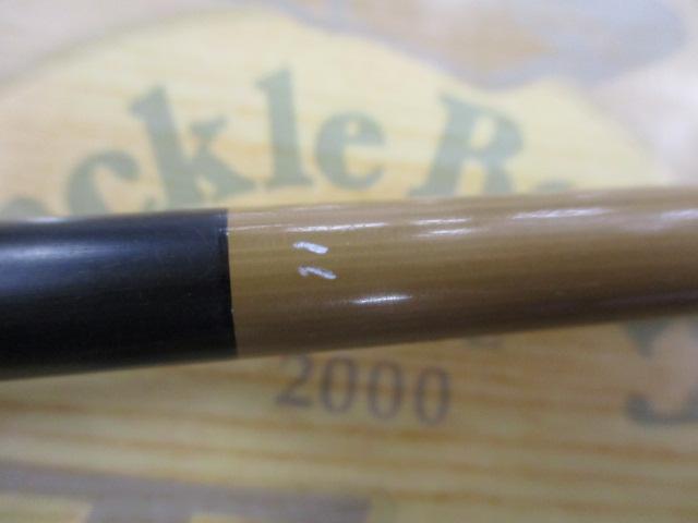 江戸川英仙11号