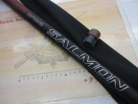 25スーパーゲームベイシス サーモン83