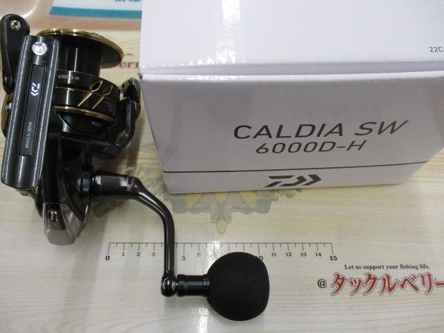 22カルディアSW 6000D-H