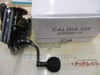 22カルディアSW 6000D-H