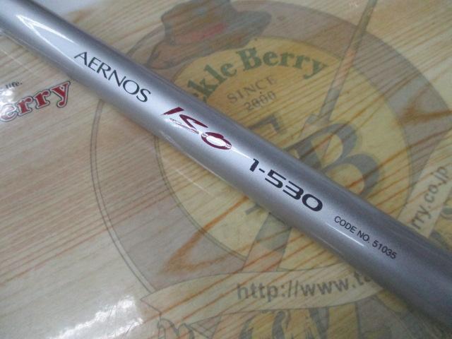 IHエアノス磯 1-530