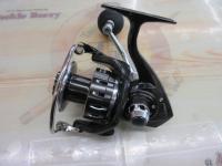 16キャタリナ 4500H