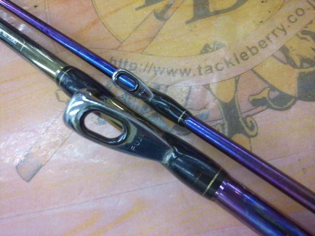 海攻ヒラメリミテッド 50-270