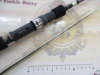 飛竜イカダ 150P