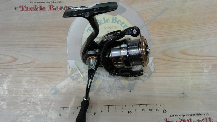 21ルビアスエアリティー FC LT2000S-P