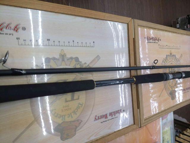 マスターエッジファイティンヒラ110M