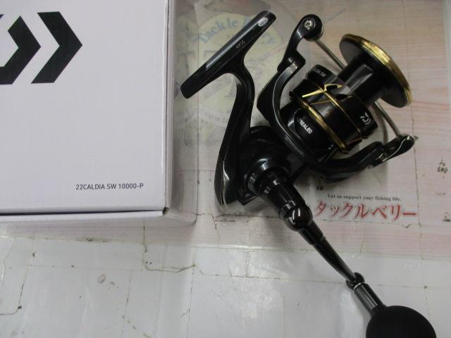 22カルディアSW 10000-P