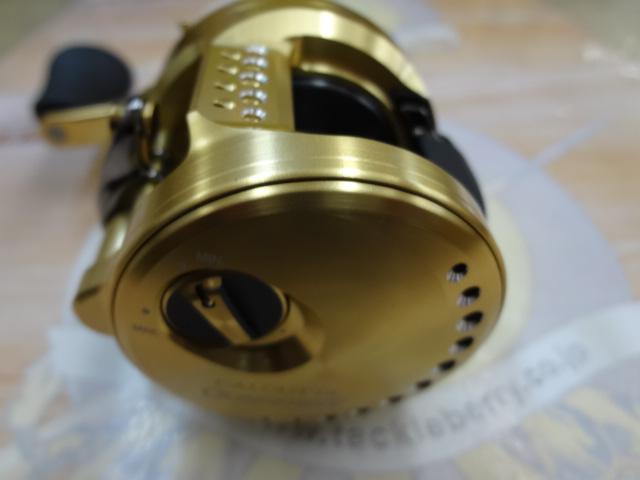 21カルカッタコンクエスト 200HG