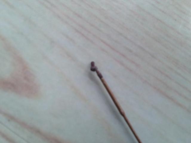 朱紋峰 ぬけさく 19