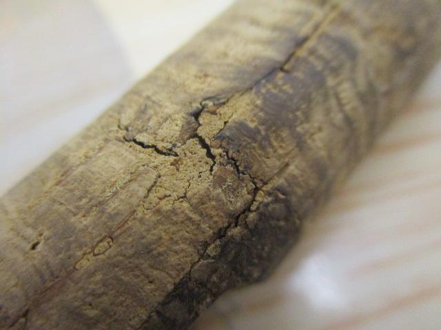 シルバークリークS SC-S562-ULFS