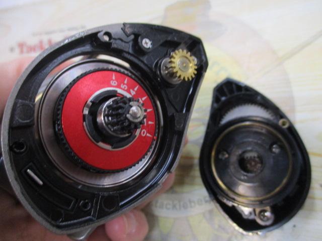 エランワイドパワー 71BL