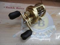 01カルカッタコンクエスト 100