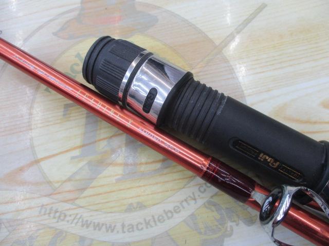 リーディング-X ネモノ 205H