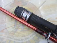 リーディング-X ネモノ 205H