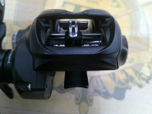 24タトゥーラ TW 100