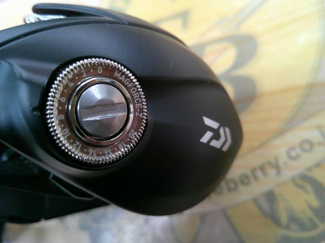 24タトゥーラ TW 100XH