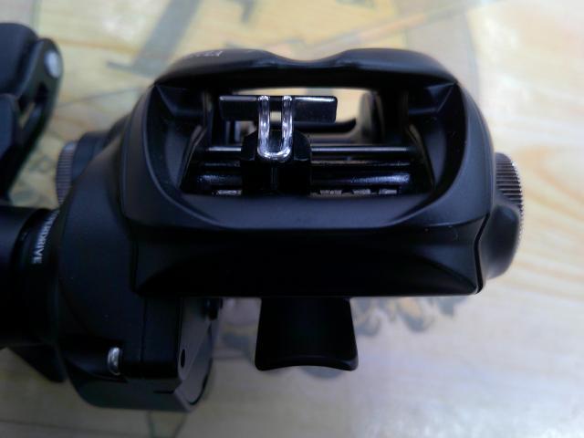 24タトゥーラ TW 100