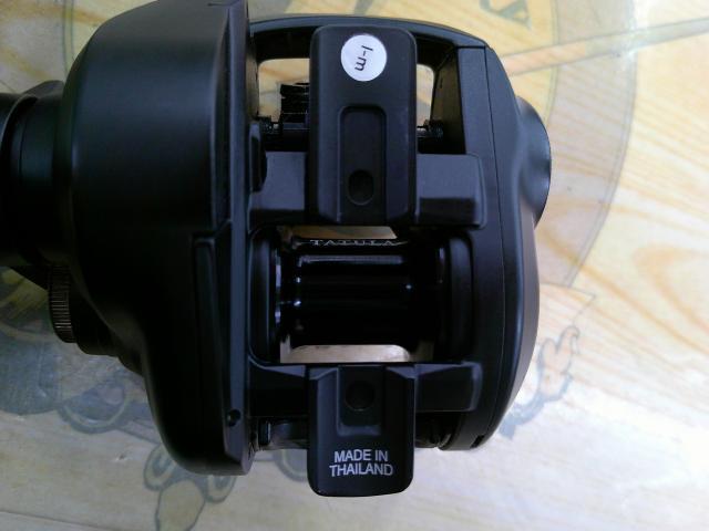 24タトゥーラ TW 100