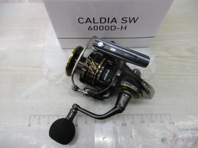 22カルディアSW 6000D-H