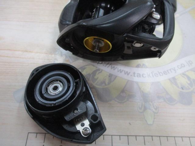 24タトゥーラ TW 100XH