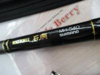 22リアルパワー石鯛 540