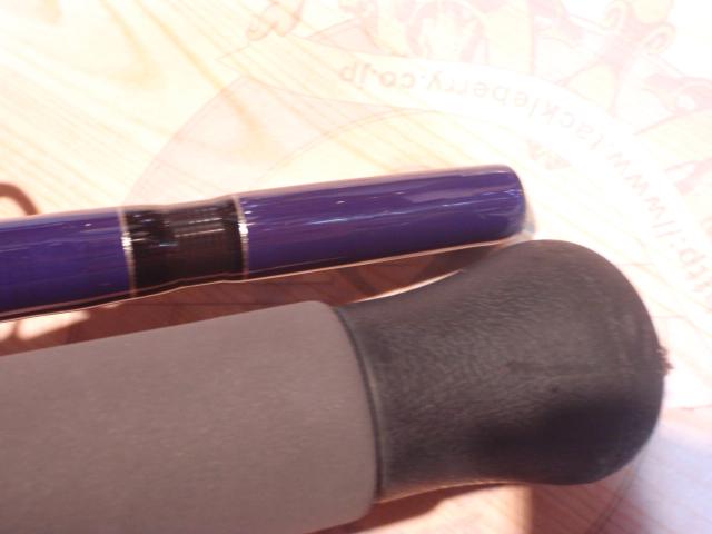 ワイルドブレーカー 100SV サーフェイスバイパー