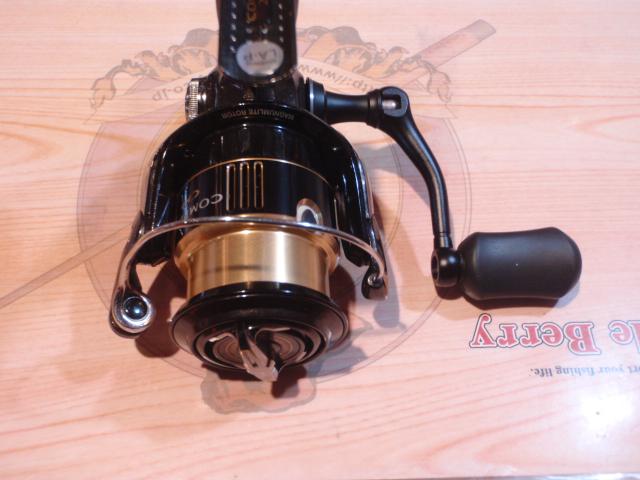 13コンプレックスCI4+ 2500S F6