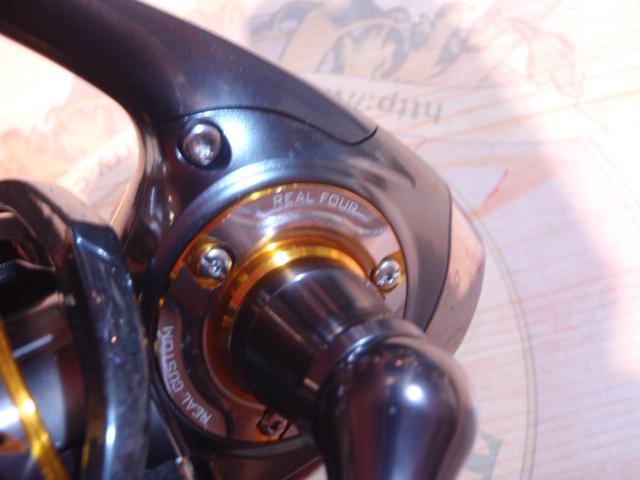 13セルテート 3012H