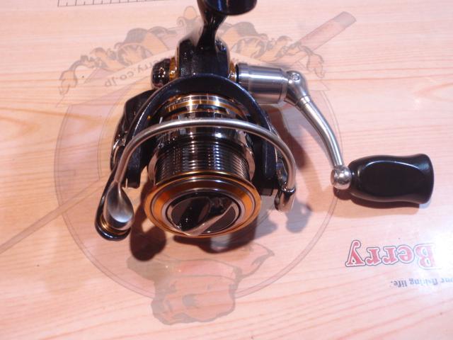 10セルテート 2004