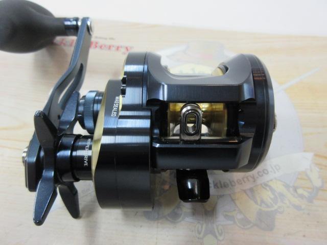 25ソルティガ 300H