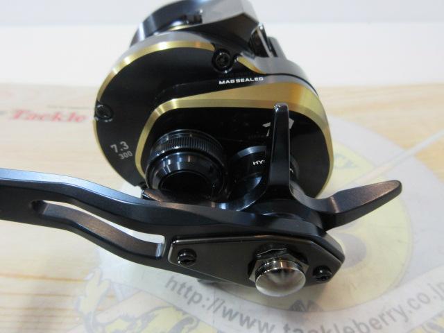 25ソルティガ 300H