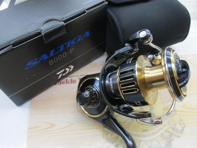 25ソルティガ 8000-P