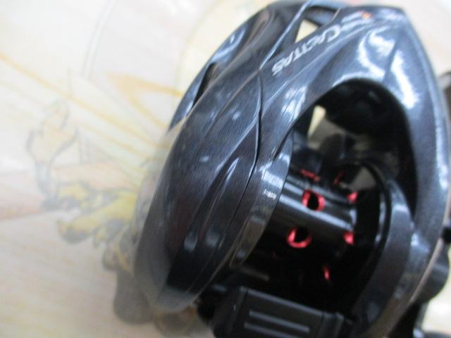 カシータスMGL 100 RH