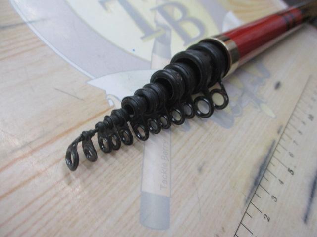 がま磯アオリイカ 50H