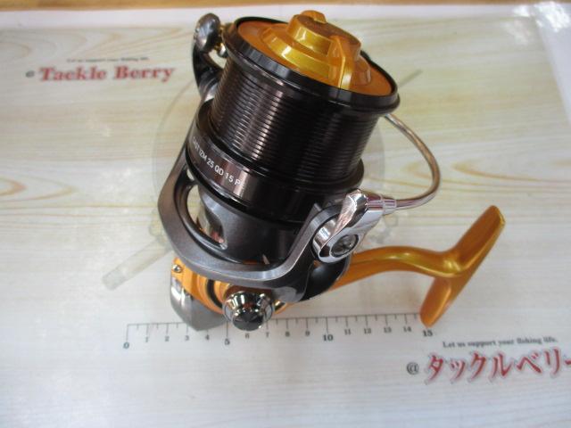 14キャスティズム 25QD 15PE