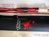 19ワールドシャウラ テクニカルエディション S62SUL-2(SIC)