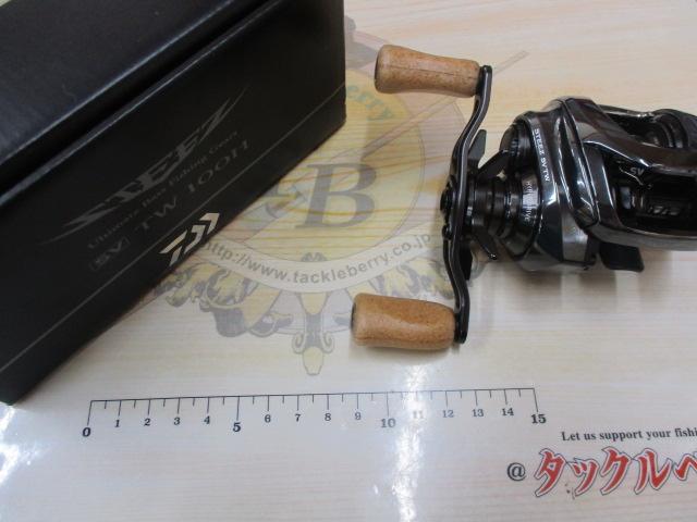 24スティーズ SV TW 100H