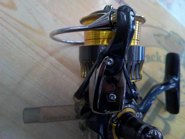 16セルテート 2506